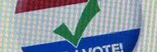 i vote